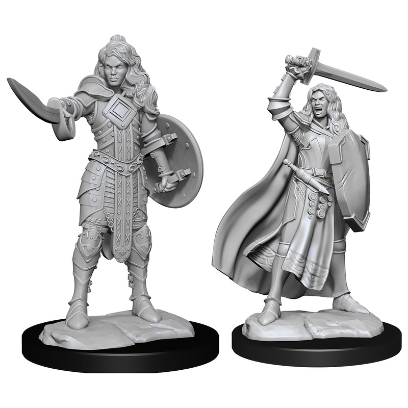 Pathfinder: Deep Cuts Unpainted Miniatures - Human Female Champion