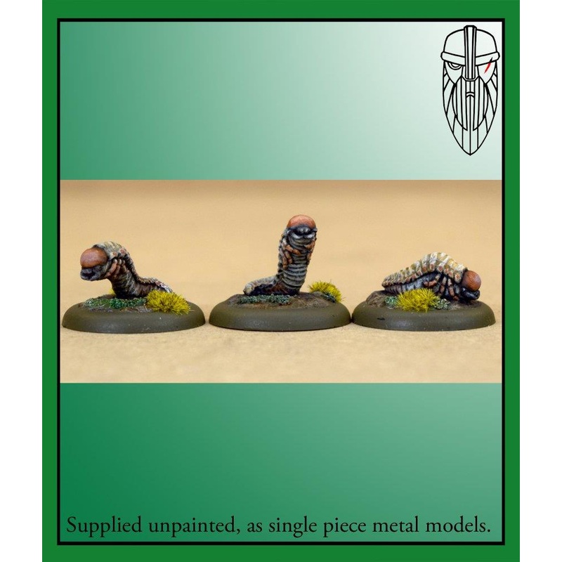 Burrows & Badgers - Stag Beetle Grubs (Small)