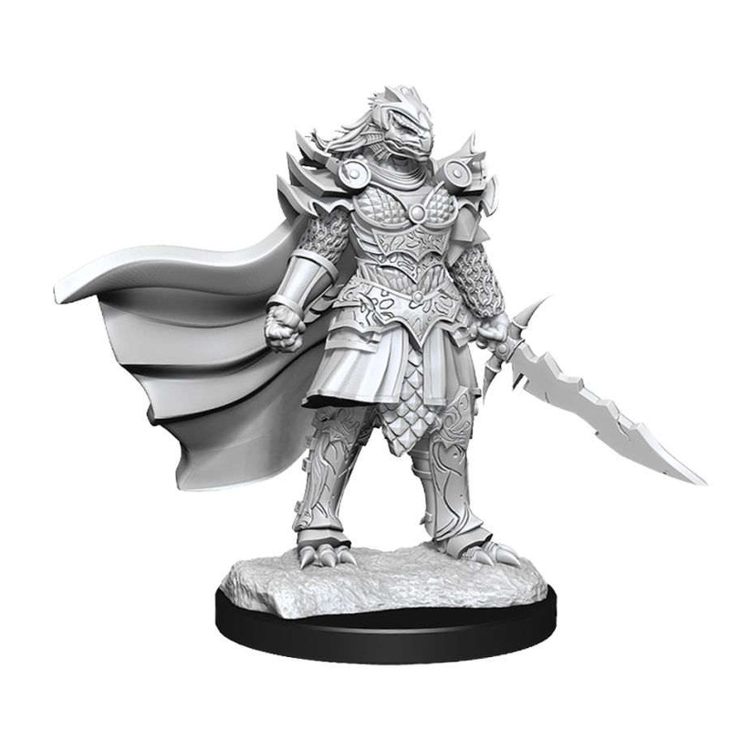 90302 F Dragonborn Fighter
