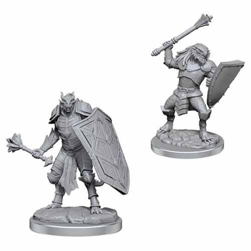 90522 Dragonborn Clerics W18