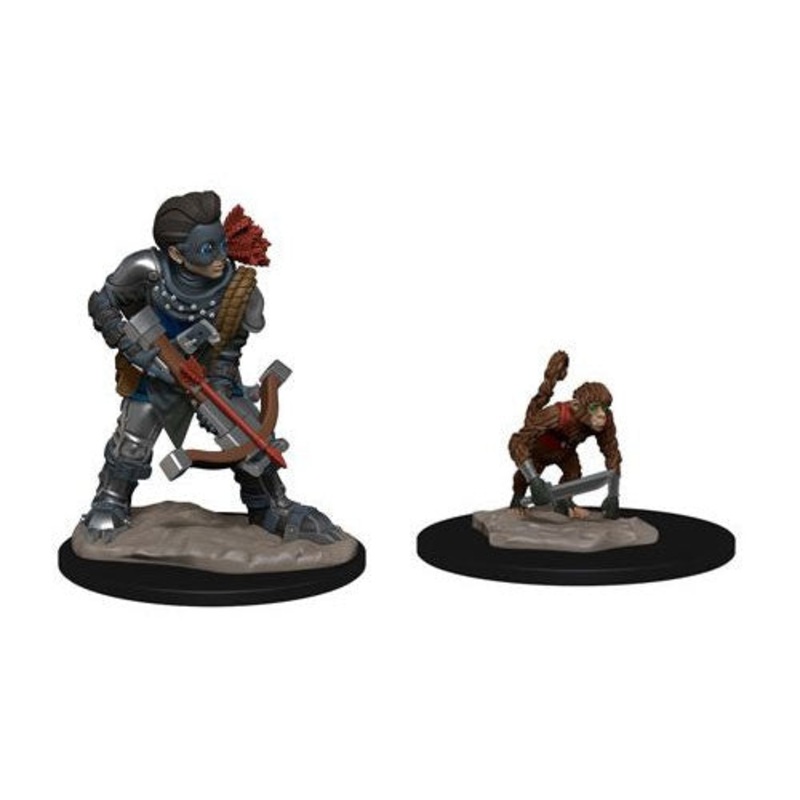 WizKids Wardlings: Boy Rogue & Monkey